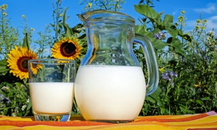 Mléko a jeho alternativy: udělejte si konečně jasno